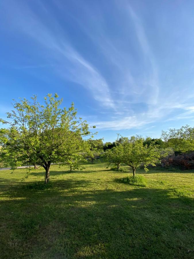Studio Climatise Dans Un Ancien Domaine Viticole Montpellier Eksteriør billede